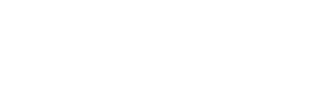 Boni, Zack & Snyder LLC 